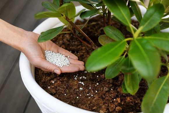 Hand düngt eine Pflanze